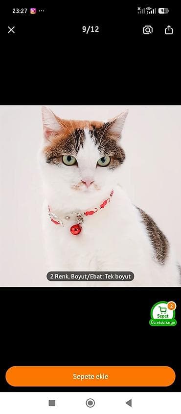 pişik tasması: Flüoresan pişik boyunbağı dəsti - Gecə parlayan silikon material — 3