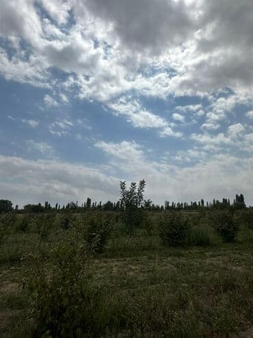 Kənd təsərrüfatı, Mülkiyyətçi