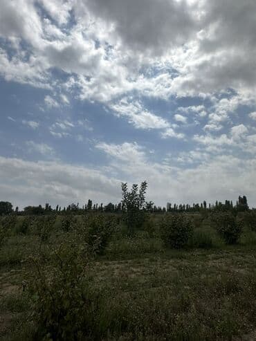 xacmazda satilan torpaqlar: Kənd təsərrüfatı, Mülkiyyətçi — 1