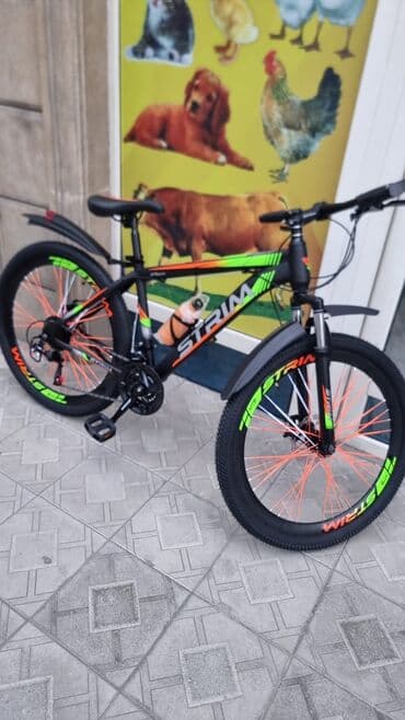 2 ci sinif metodik vesait azerbaycan dili: İşlənmiş Dağ velosipedi Strim, 26", sürətlərin sayı: 7, Ünvandan götürmə — 1