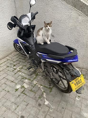 tufan em 50: Tufan - Cub 50S, 50 sm3, 1732 km — 2