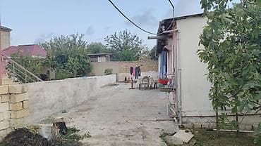 ev satilir type 1: Həyətyani torpaq sahəsi və bağ - Tam daş hasarla əhatələnmiş həyət — 5