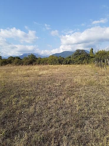 tap az kiraye evler memar ecemi: 150 sot, Biznes üçün, Mülkiyyətçi, Kupça (Çıxarış) — 5