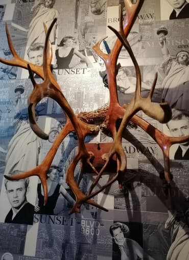 novruz bezeyi: Divar bəzəyi üçün nəzərdə tutulmuş buynuzlar. Bu dekorativ buynuzlar — 1