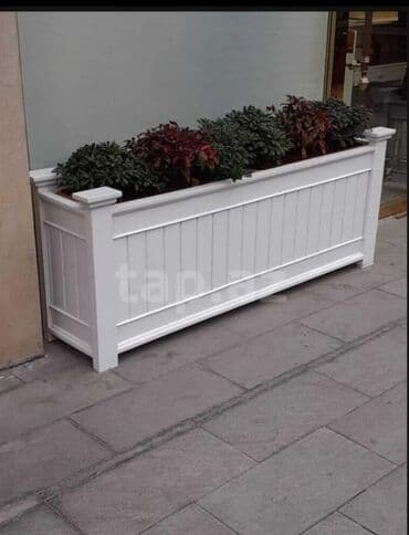 jasmin gülü: Dibceklər #biçeklər hər ölcüdə gülə #gül yeşikləri 1il rəsmi — 4