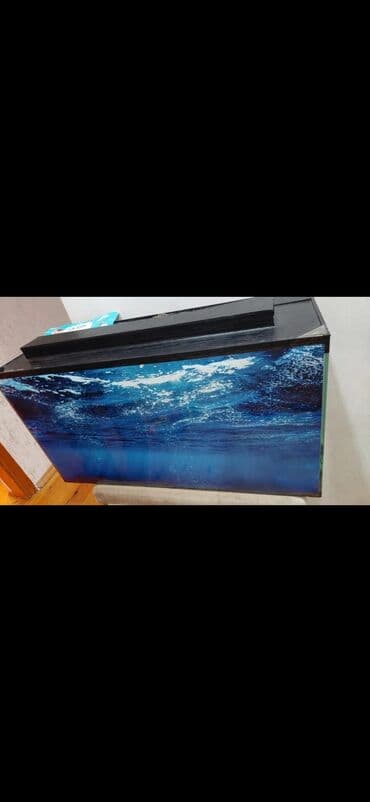 heyvan: Akvarium və üst qapaq Akvarium aksessuarları ilə birgə 240 manata — 1