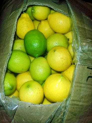 vip international кофе отзывы: Super limonlar 🍋 Limon 🍋 🇦🇿 Lənkəran - 35, 40 qəpik ( Qutuda 130 — 1