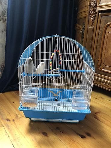 qefesi: Budaqlar və aksesuarlarla komplekt quş qəfəsi - Ölçü: orta həcmli — 2