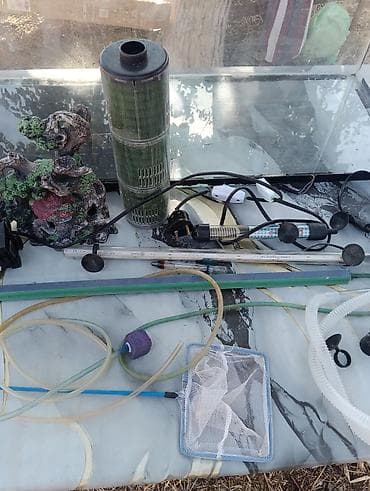 akvarium satilir: Akvaryum və tam aksesuar dəsti Ölçülər (şüşə akvaryumun üzərində qeyd — 4