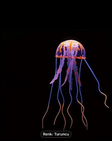 принадлежности для собак: Salam. Akvarium ləvazimatları satılır. Təzə vəziyyətdədir. Heç — 4