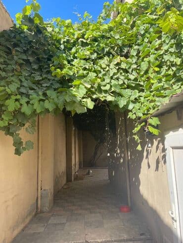 qaracuxurda ev: 120 kv. m, 4 otaqlı — 5