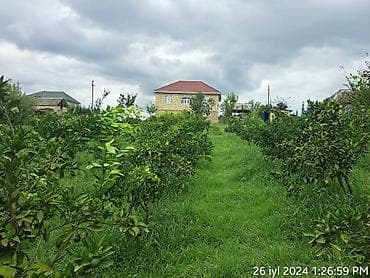 kiraye ev mingecevir: Bakı, 60 kv. m, 10 otaq, Hovuzsuz, İşıq, Su, Artezian quyusu — 9