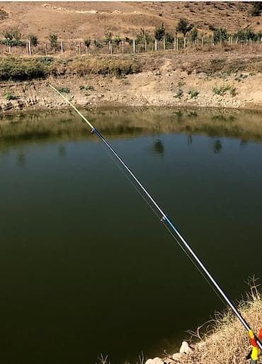 3 sot, Kənd təsərrüfatı, Mülkiyyətçi, Kupça (Çıxarış)
