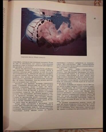 güvən ümumi tarix: Kitab Drama Okeana — 5