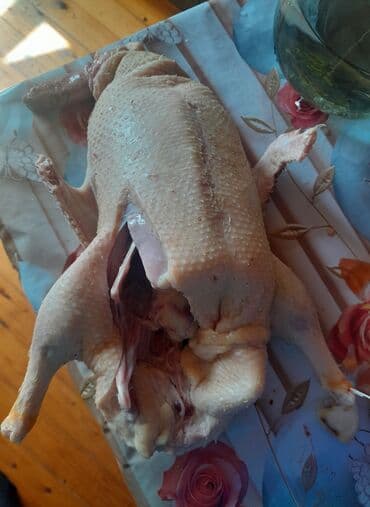 Təmizlənmiş lal ördək əti 2kq təmiz ət verir 1kq-10m səsli ördək əti