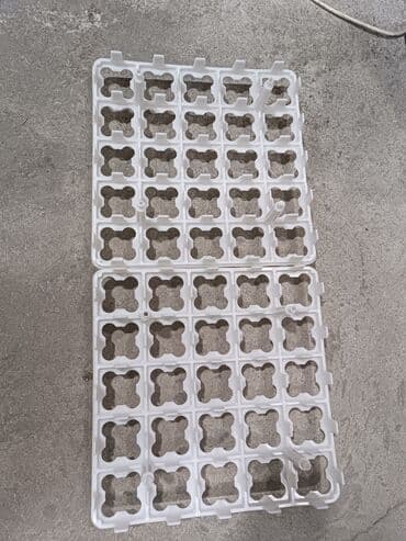 inkubator rus: Qaz yumurtası latoku İnkubator setkası Ölçü 29-29 SM 25 yumurtalıq — 2
