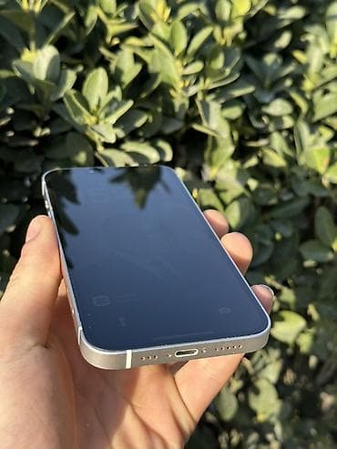 iphone 12 pro max 512 gb: IPhone 13, Ağ, Face ID — 4