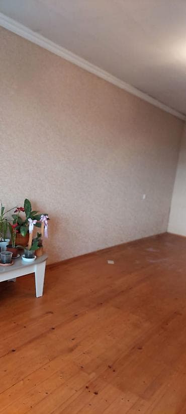 zabratda kiraye: Mənzil tam təmirlidi.kombi,isti pol,həyətdə əlavə olaraq əl damı və — 3