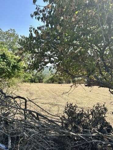 дом на колесах turbo az: Для сельского хозяйства — 2