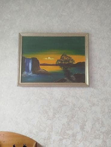 tap az qoyunlar: Məhsul: Tovuzquşu (erkək) Təsvir: - Parlaq mavi boyun və döş, geniş — 10