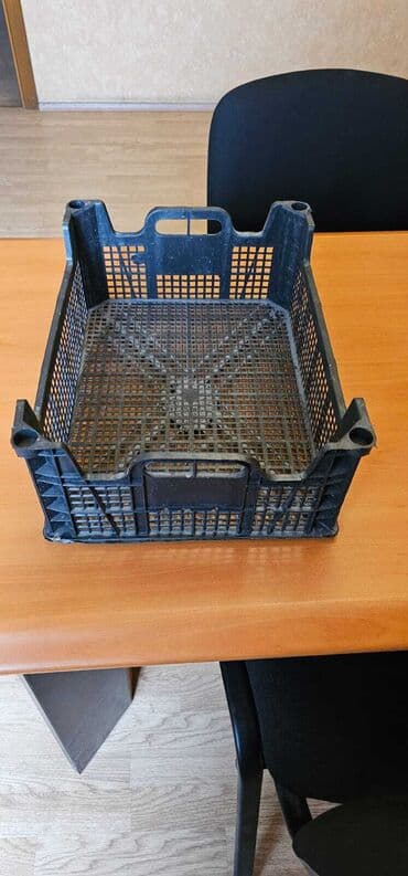 inqibatorun qiymeti: Her nov yesikler qara rengli ucuz qiymete . Otel ucun ayyaqabilar — 2