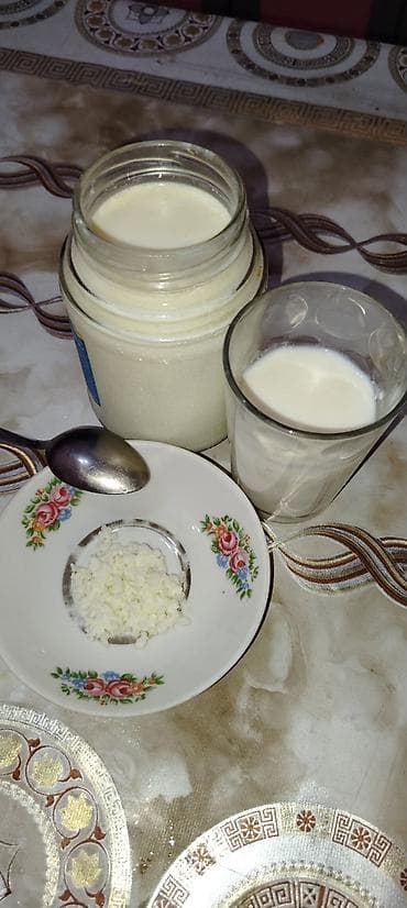 Kefir mayası. Salam. Təbii kefir mayası satılır Təmiz və sağlam ev