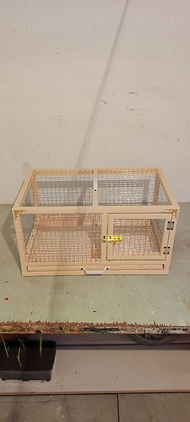 heyvanlar pişik: Dovşan,cücə,pişik,hamster,quş ve s kimi ev heyvanlari üçün qəfəsler — 2