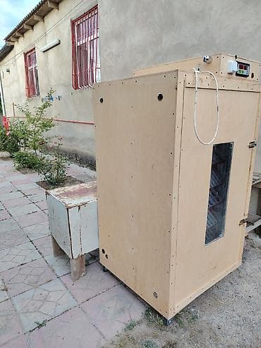 Tam avtomat — 2