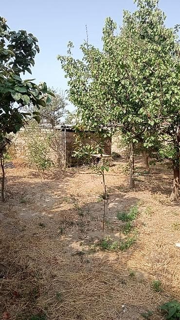 divar paneleri: Ev Qala qəsəbəsi Xaşaxuna bağları hərbi hissə ilə üzbəüz yoldan 600m — 8