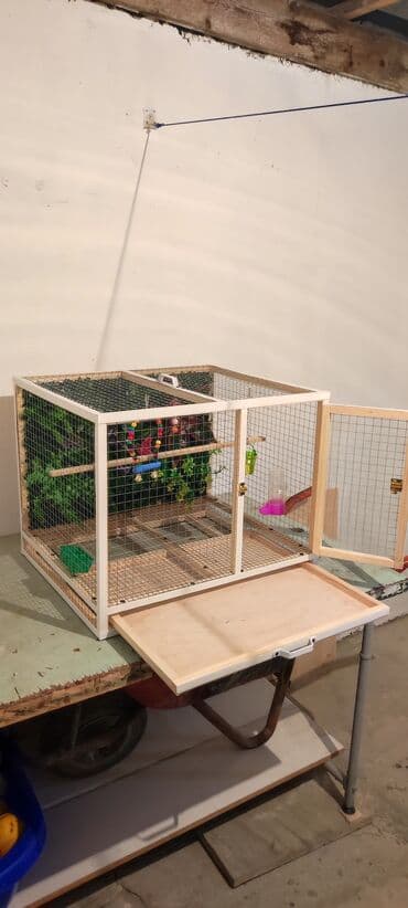 serebrist cucələr: Papuqay,dovşan,hamster,şinşila,bildirçin,cücə,xamyak,pişik,quş,tısbağa — 2