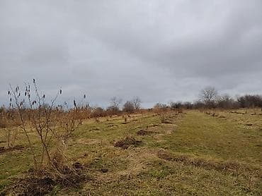 turkanda bag evi: Kənd təsərrüfatı — 9