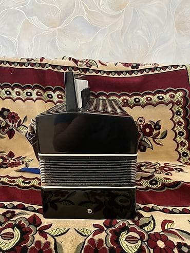 akkardion: Akustik Akkordeon — 4