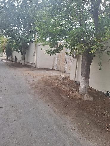 nardaran torpaq: 6 sot, Kupça (Çıxarış) — 6