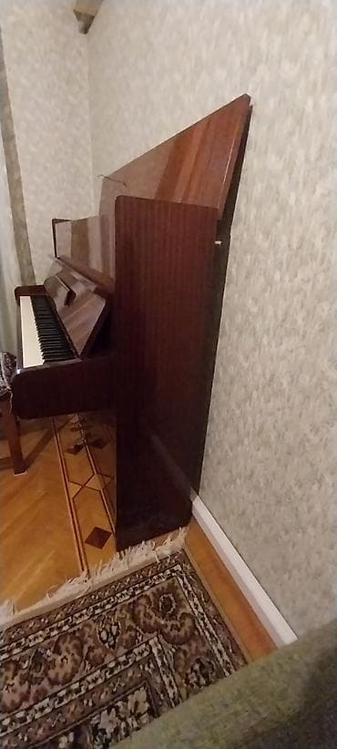 gitara akustik: Piano, Akustik, İşlənmiş — 4