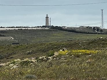 bine atciliqda: ✅ Qiymət sırf Yerləşməyə (Konuma,Lokeyşna) görə qoyulub. Torpağın — 3