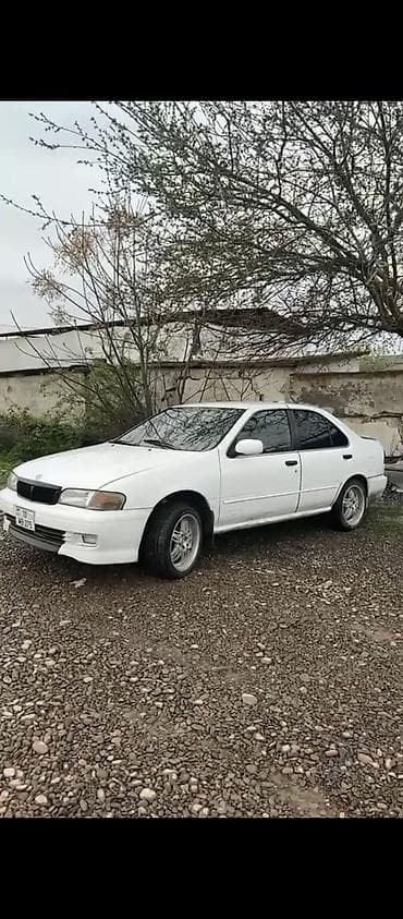 elf 5 30 yağ: Nissan Sunny: 1.6 l | 2000 il Sedan — 6