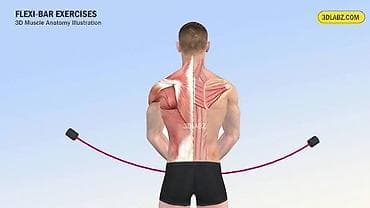 Спорт и хобби: Flexi Bar - məşq aləti Məhsul təsviri: - Elastik vibro-çubuq bədən — 3