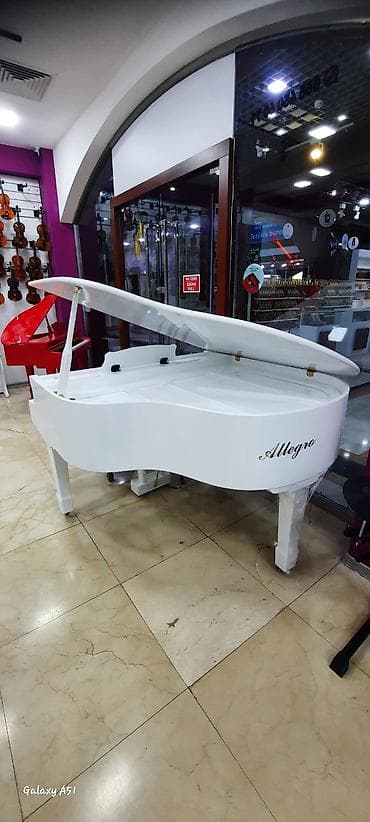 Тар: Elektro piano "Allegro" Royal royal ✅ Bir kart və Tam kartla 12, 18 — 6