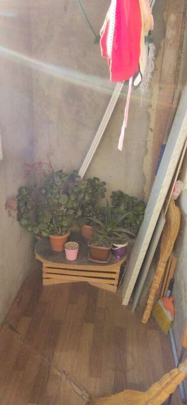 günəşli ev: Bakı, 2 otaqlı, Köhnə tikili, 55 kv. m — 20