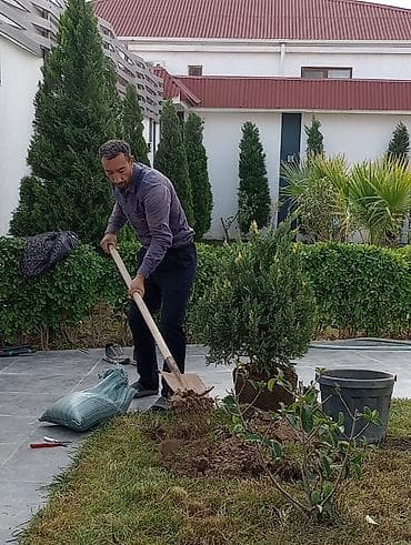landşaft dizayn: Bağ və landşaft xidməti - Landşaft dizaynı: çiçəkli kompozisiyalar — 6