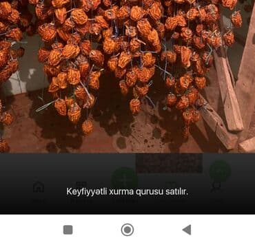 Məhsul: Xurma qurusu Təsvir: - Əl ilə yığılmış xurmalar ənənəvi