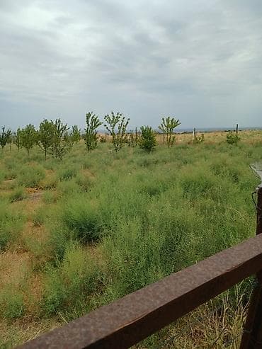 Земельные участки: 20 соток, Для сельского хозяйства, Купчая — 4