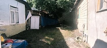 studiya otaq: QƏBƏLƏDƏ KUPÇALI TORPAQ VƏ 2 EV SATILIR! 🏡 Qəbələ rayon mərkəzində — 10