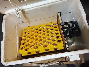 İstehsal avadanlığı: 100 yumurta, Bütün növ quşlaq üçün — 3