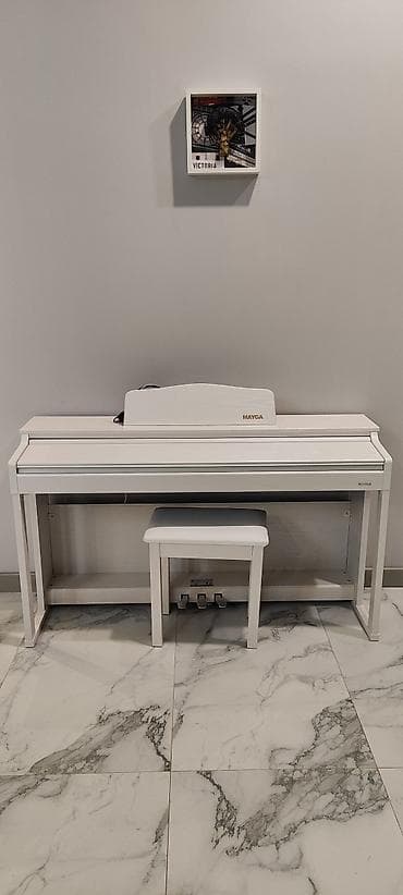 instrumenti: Piano, Mayga, Rəqəmsal — 1