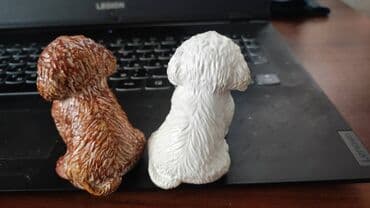 ən gözəl it şəkilləri: Fiqur, Gips — 6