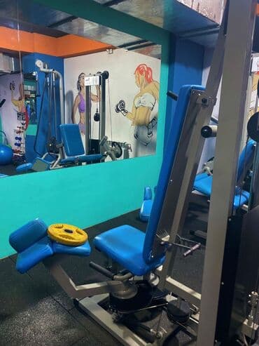 Qantellər, İşlənmiş — 5