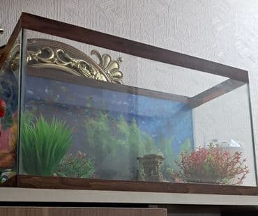 hava matoru: Akvaryum dəsti - Şüşə akvaryum, taxta çərçivə ilə - Daxili fon — 2