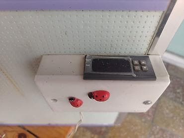 inkubator satışı: Bütün növ quşlaq üçün — 4