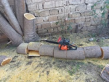 plastik kapi pencere: Ağac kesmek budamaq işləri görülür.🪚 Kotukleri səliqəli dogramaq qol — 2